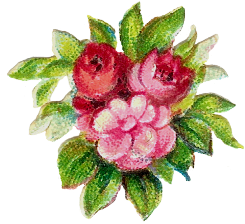 Free Flower Clip Art The Smell Of Roses,free Flower - Clip Art (935x990)