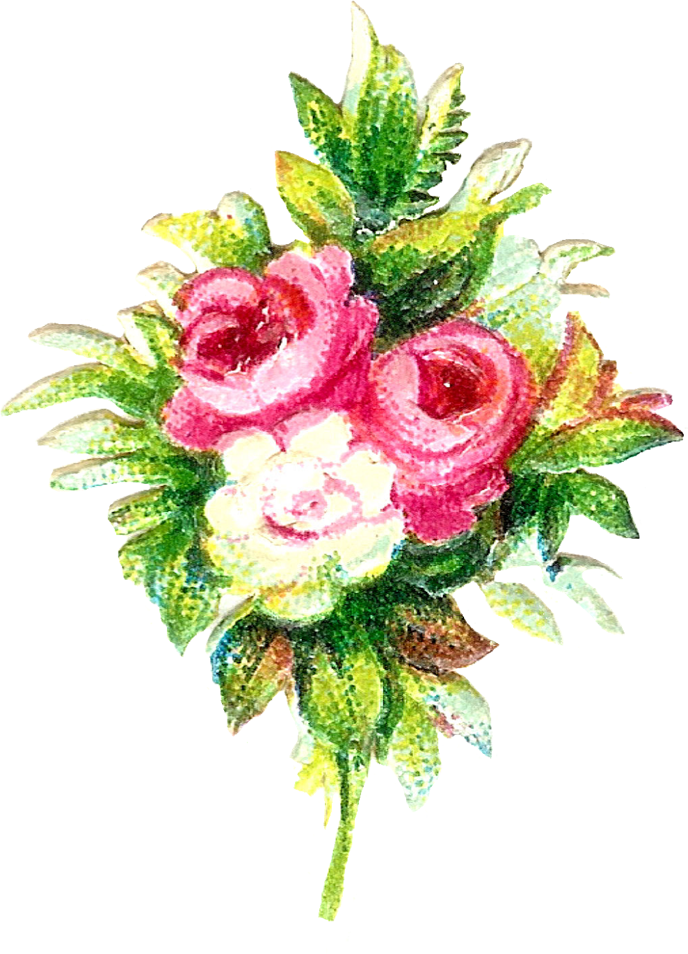 Free Flower Graphic - Free Clip Arts Rose Flowers (1267x1600)