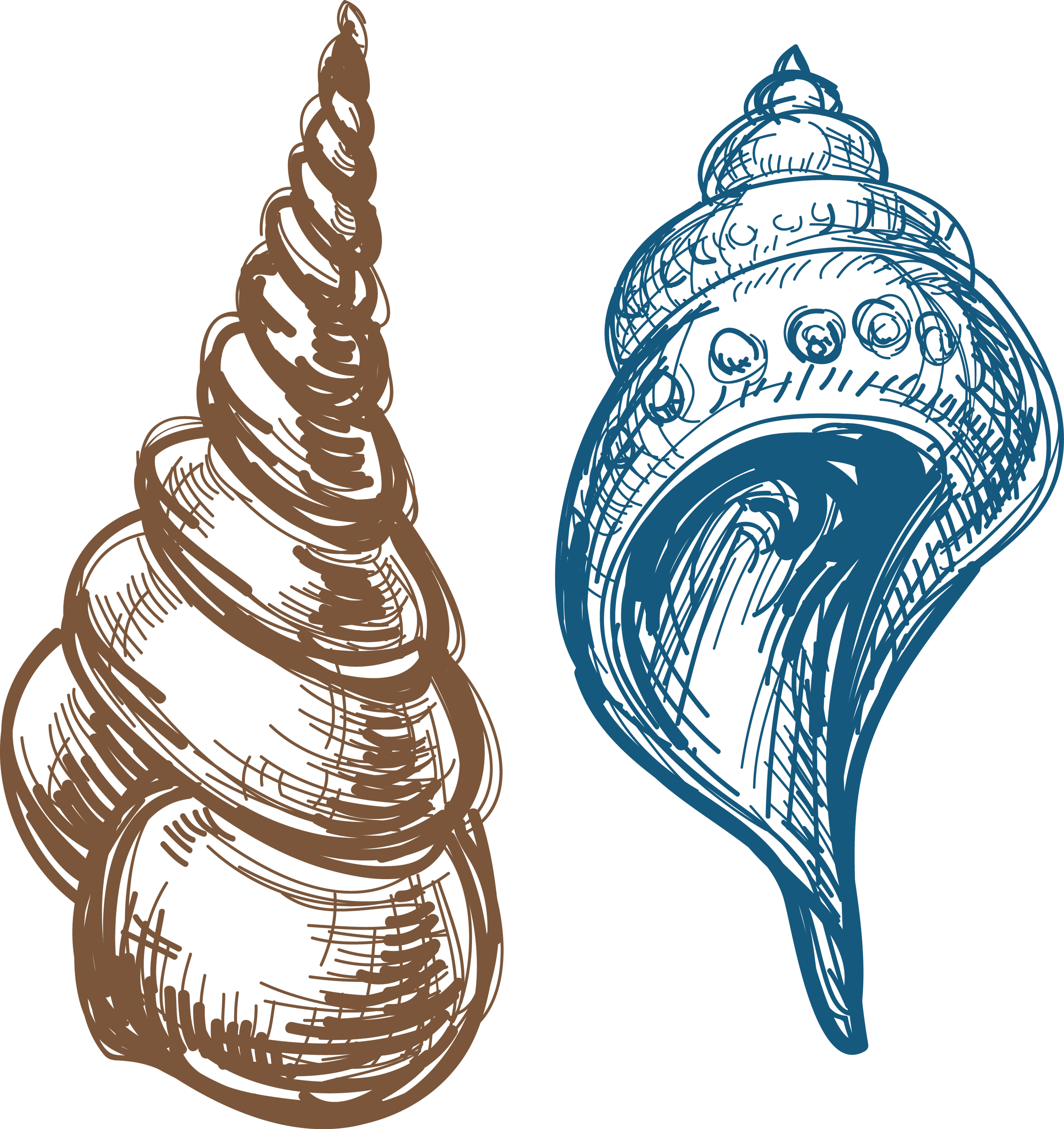 Caracola Clip Art - Caracola Clip Art (2827x3000)