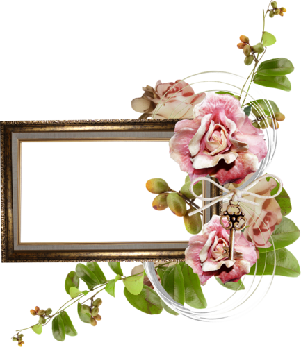 Digital Scrapbooking, Picture Frames, Frame Decoration, - Garden Roses (433x500)