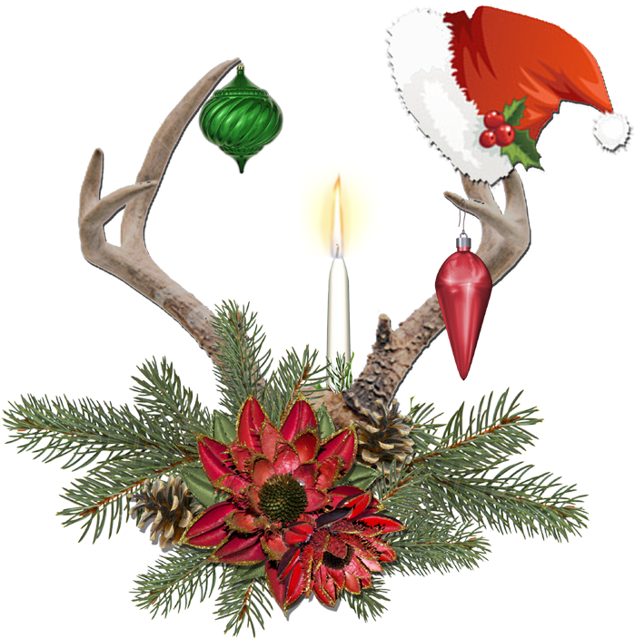 Cheyokota Digital Scraps - Vipera Clan (762x800)