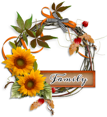 Cheyokota Digital Scraps - Picture Frame (378x400)