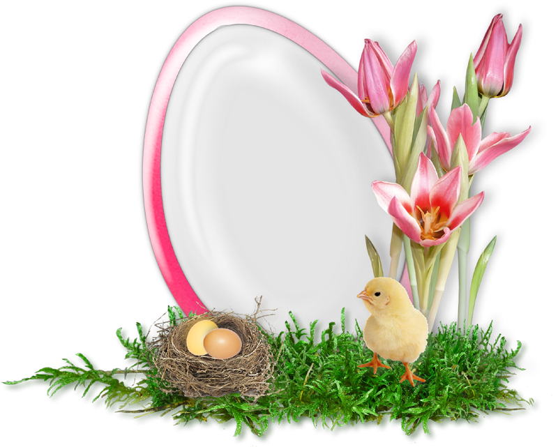 Cheyokota Digital Scraps - Digital Scrapbooking (800x641)