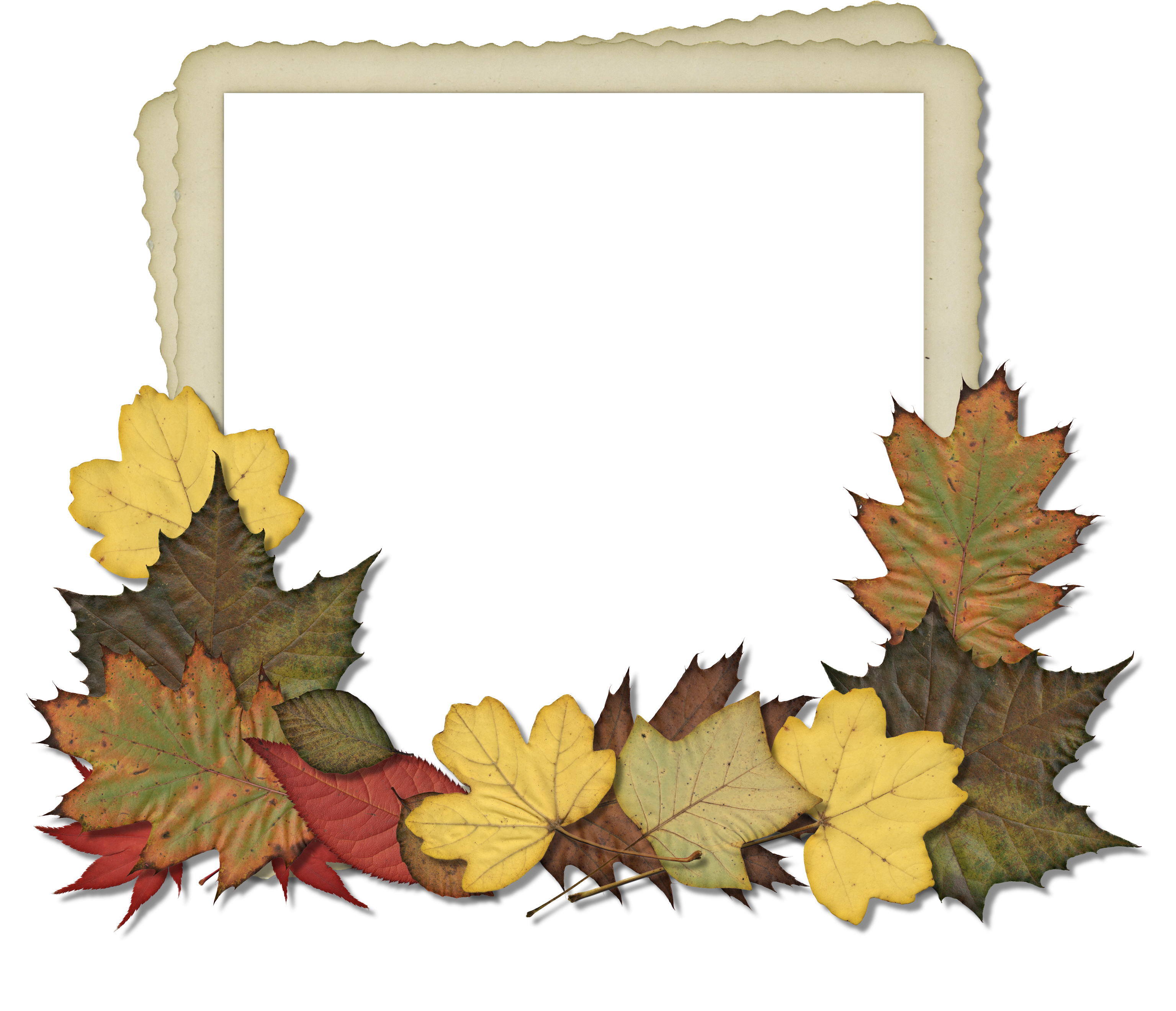 Scrapbooking Tammytags Autumn Or Thanksgiving - Designer Photo Frames Png (3071x2639)