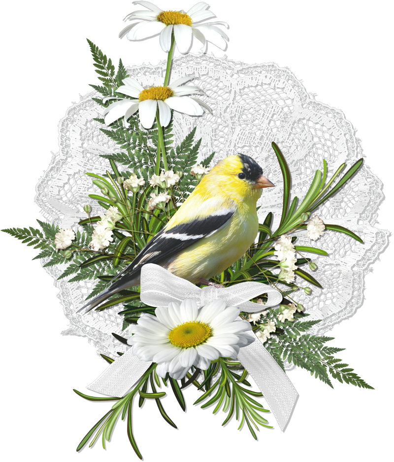 Preview Upcoming Kits, Grab My Digital Freebies & Downloadable - Illustration (800x937)