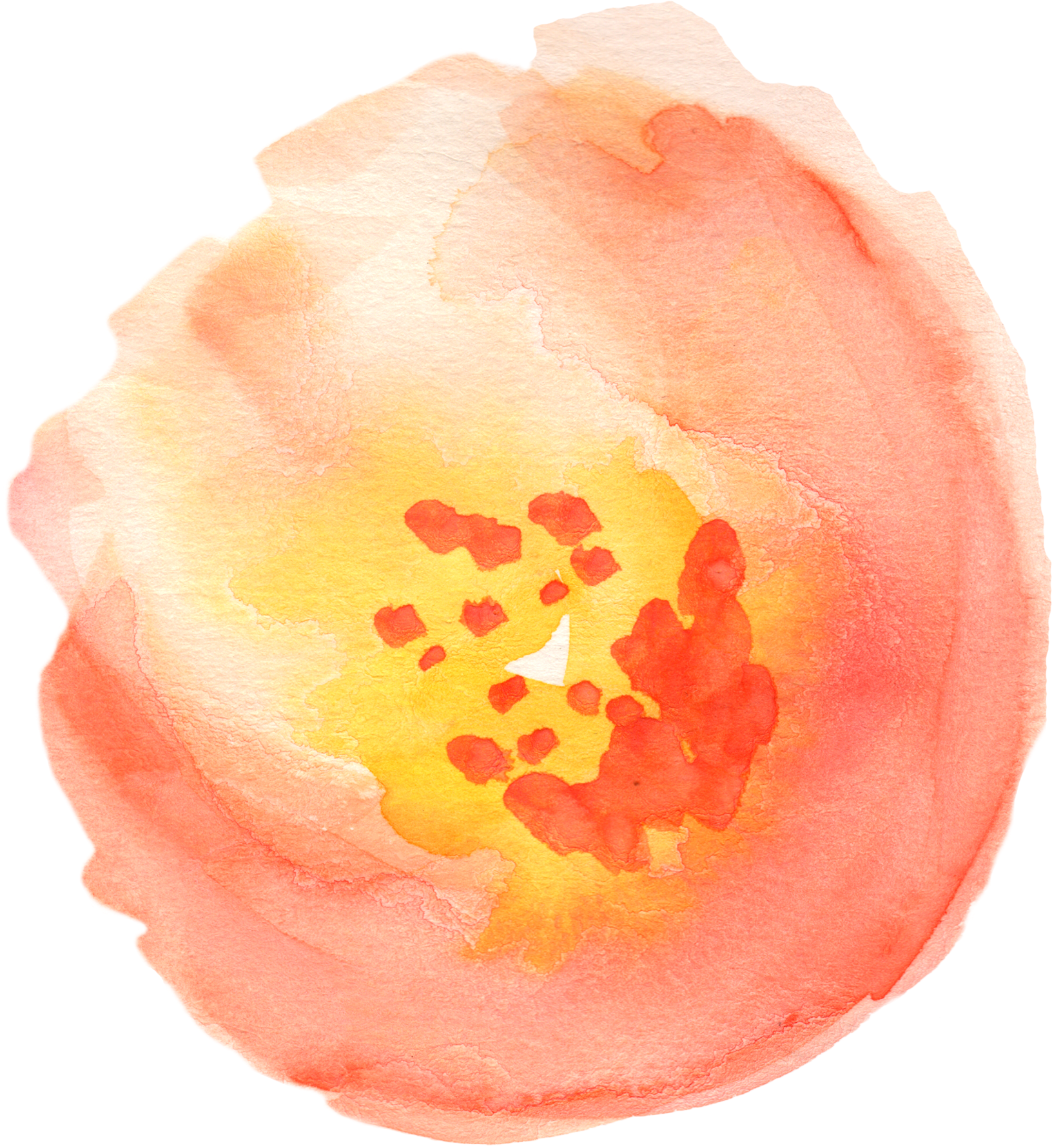 Flowers Transparent Yh - Watercolor Clipart Transparent (1752x1914)