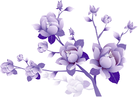Flores Ilustraciones En Png Para Artesanía Y Diseños - Flower Clipart Transparent (539x379)