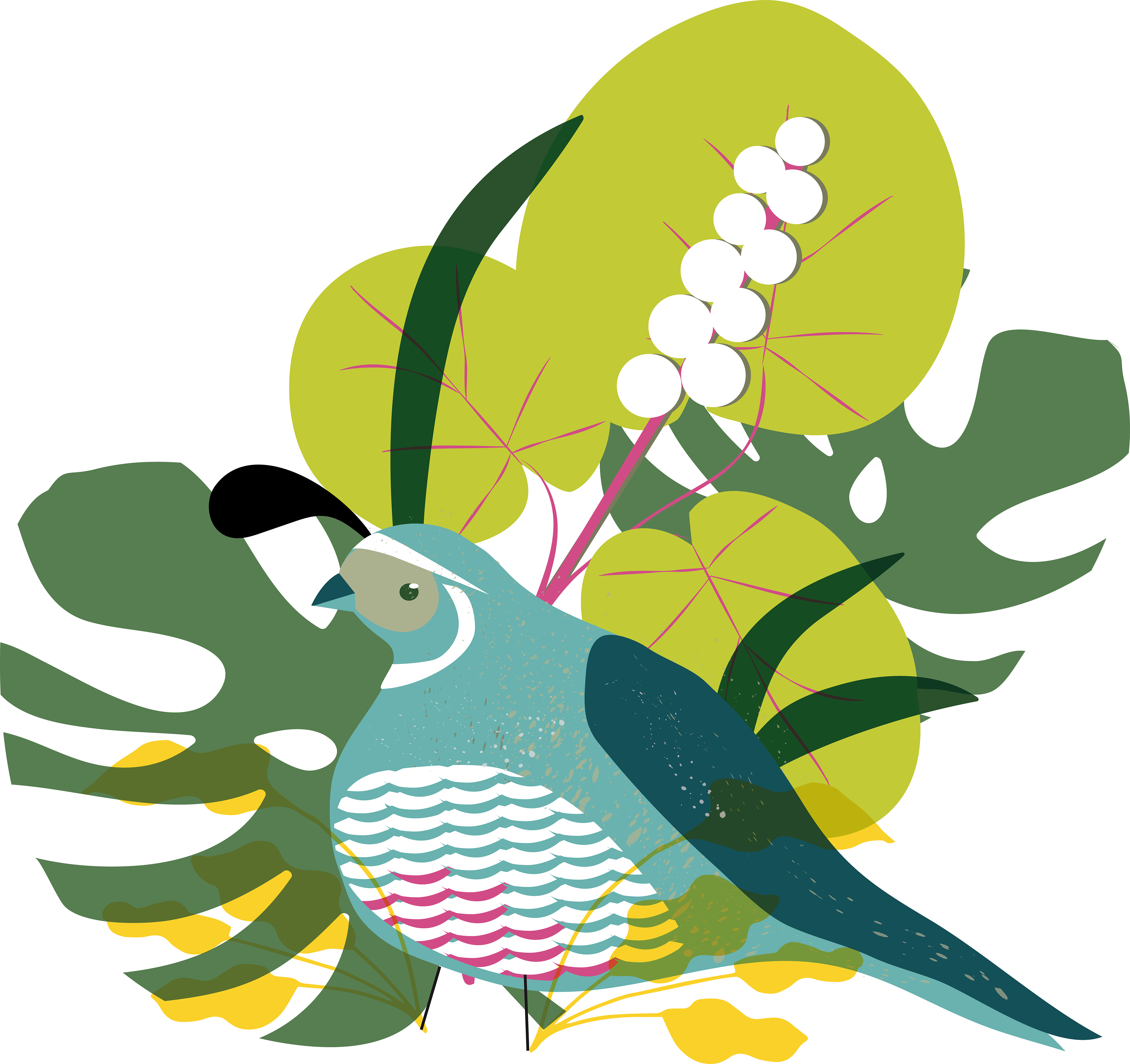 Great White Heron - Illustration (3840x3615)