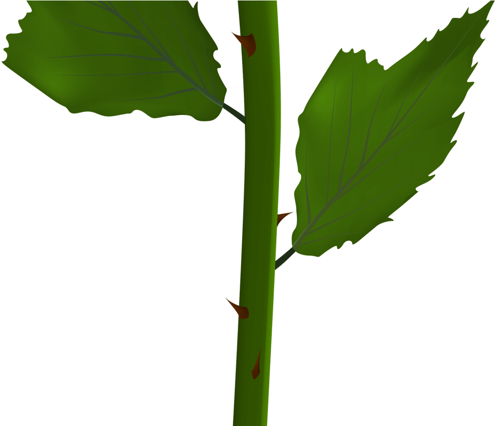 Lily Flower Vase Clipart Icon Opacity Collection - Single Yellow Rose Png (1368x855)