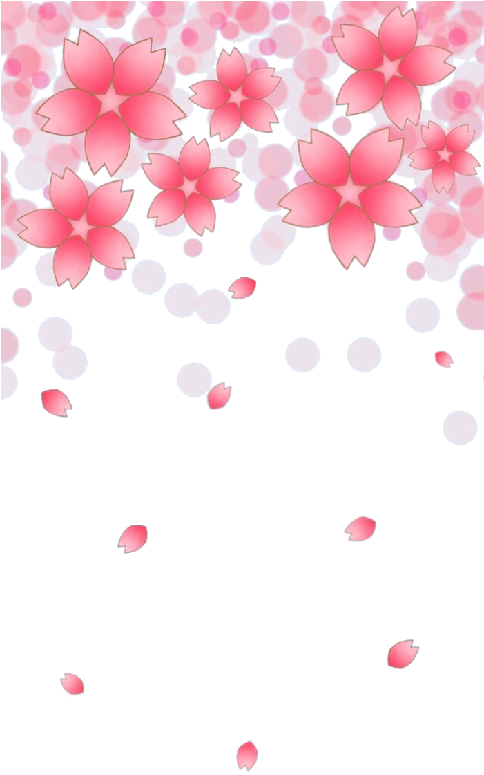 Cherry Blossom Petal Cerasus - Cherry Blossom Petals Falling Png (700x1243)