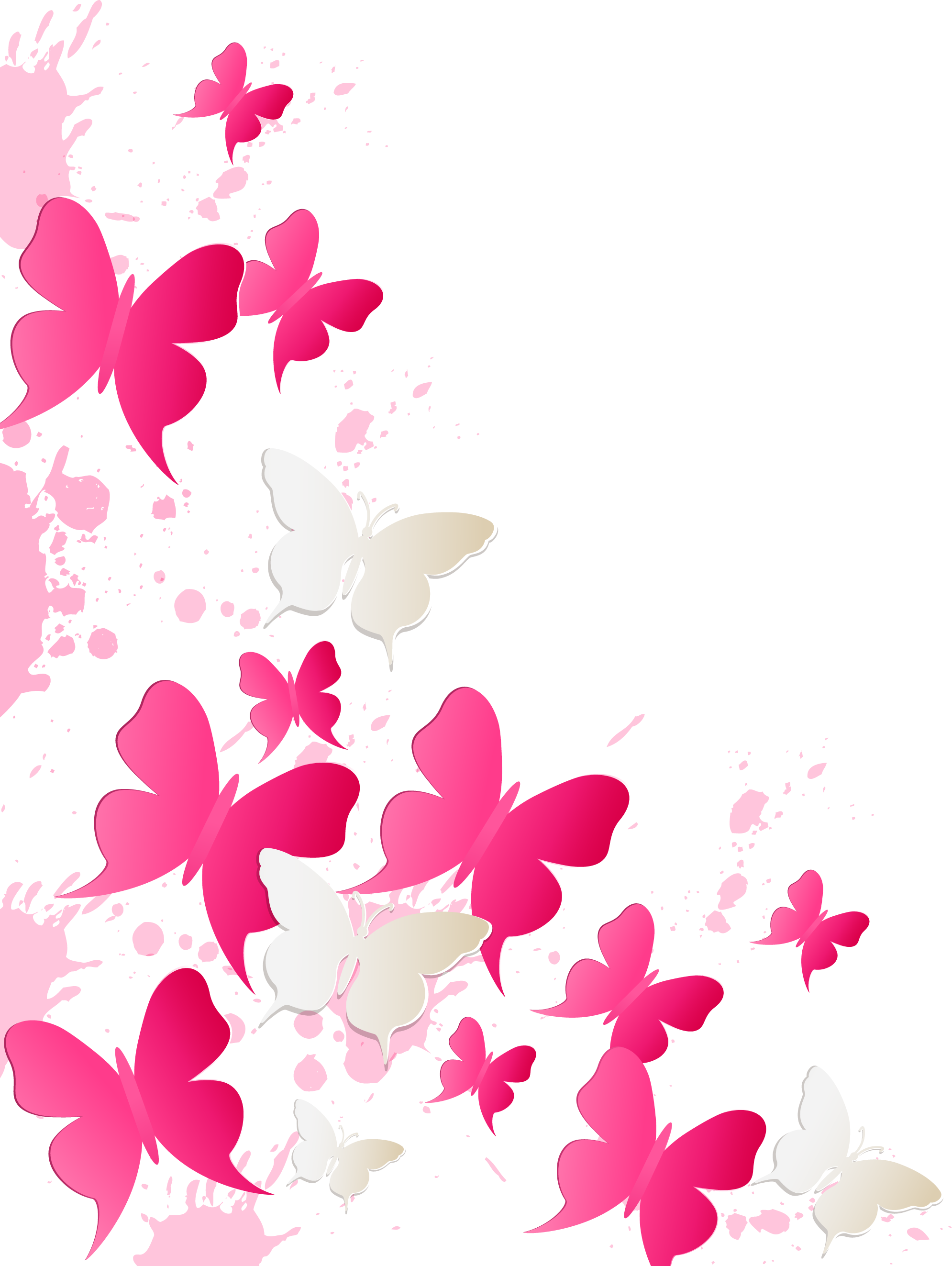 Room Breakfast Vinegar Valentines Clip Art - Fototapeta Motyle Dla Dzieci Fdb295-xl 330x255cm (1990x2646)
