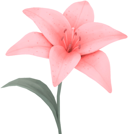 I Just Wanna Make Flowers Lately - Blooming Flower Gif Png (500x500)