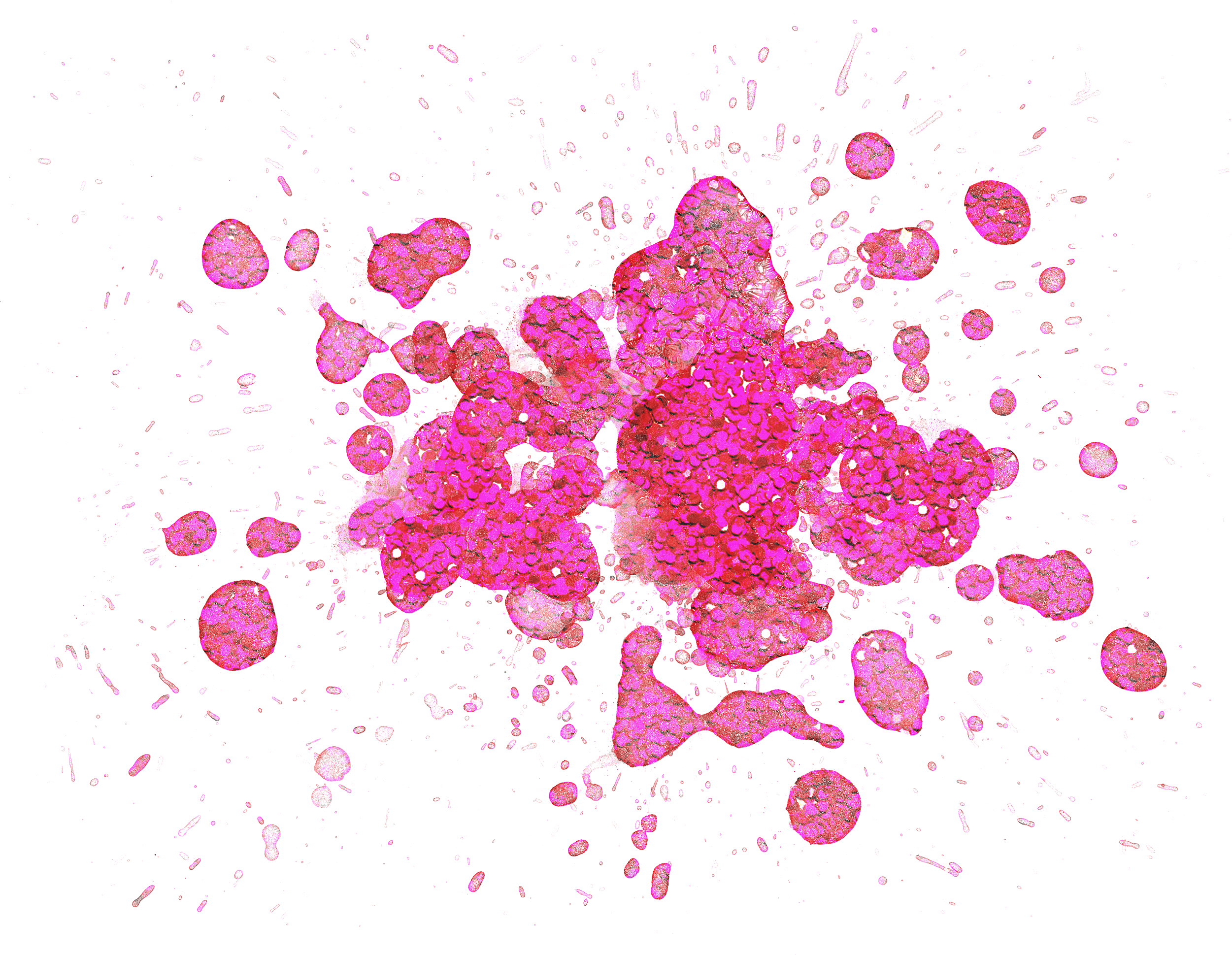 Drawing Paint St Thomas The Apostle School Clip Art - Drawing Paint St Thomas The Apostle School Clip Art (2520x1958)