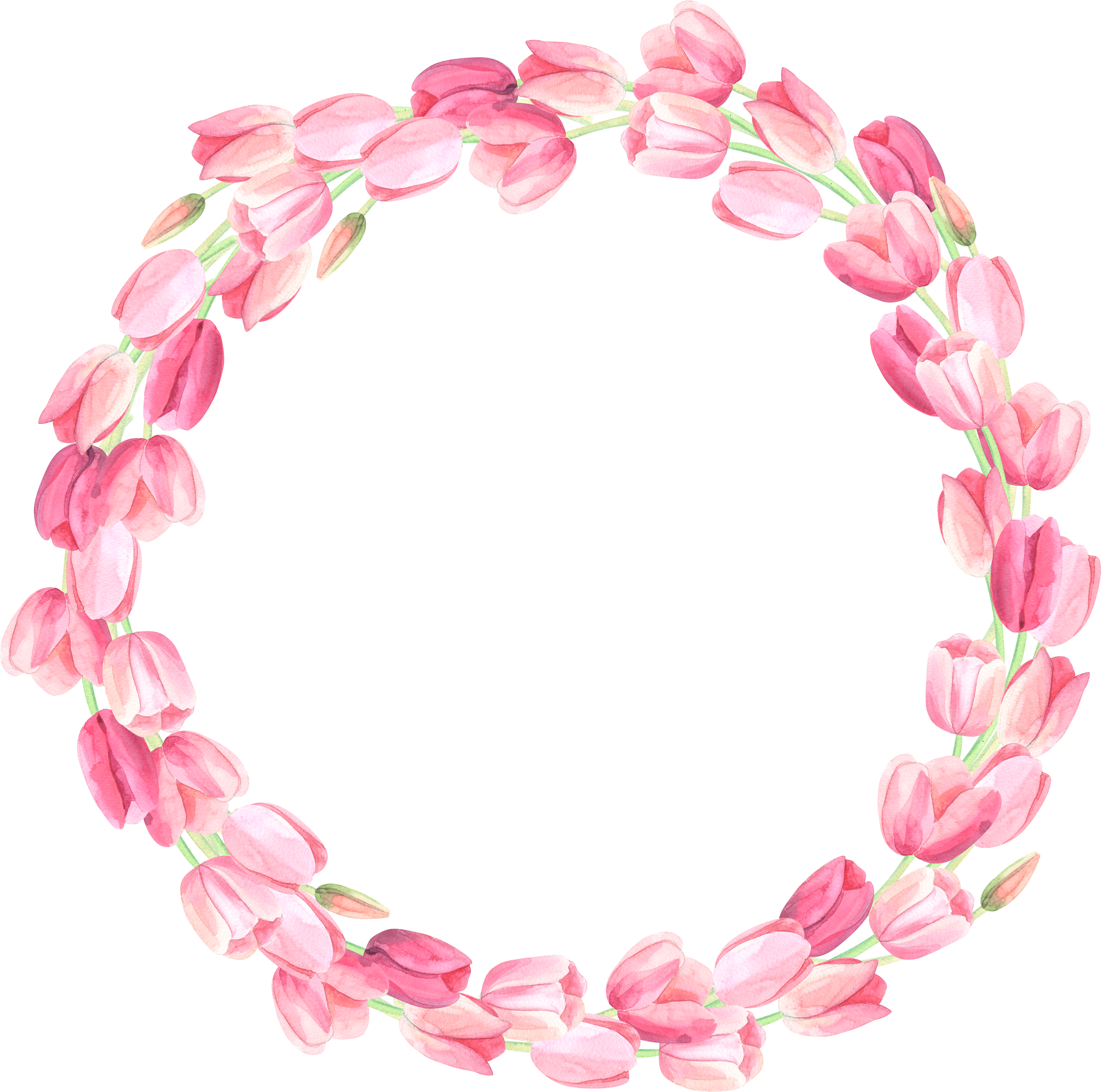 Tulip Pink Flowers Clip Art - Tulip Pink Flowers Clip Art (5340x5296)