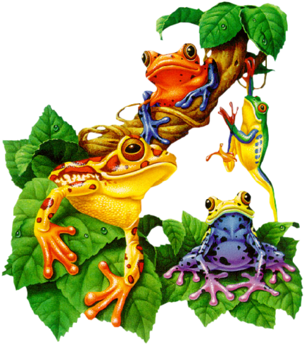 Album - Toland Home Garden Tree Frog Garden Flag (450x500)
