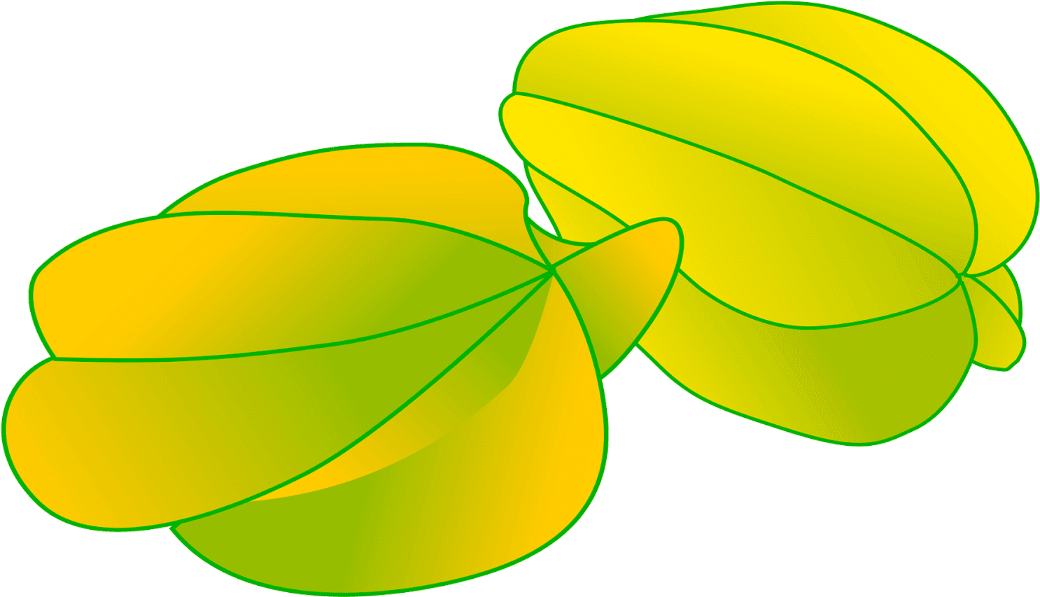 Star Fruit Carambola - Fruits Clipart (1600x900)