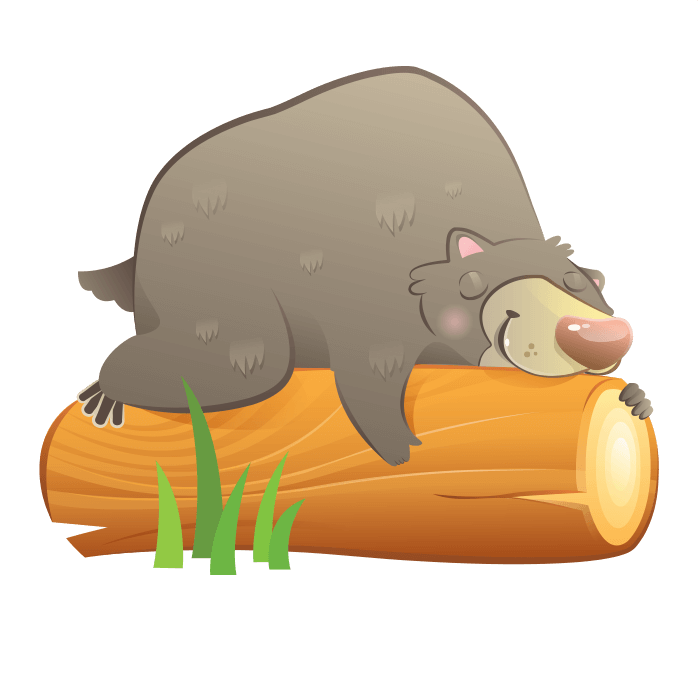 Orso Che Dorme Disegno (700x700)