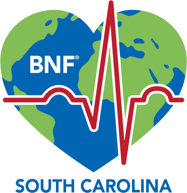 South Carolina Baptist Nursing Fellowship - South Carolina Baptist Nursing Fellowship (739x698)