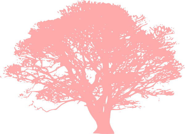 Pink Tree Love Clip Art At Clker Com Vector Clip Art - Oak Tree Clip Art Black And White (600x436)
