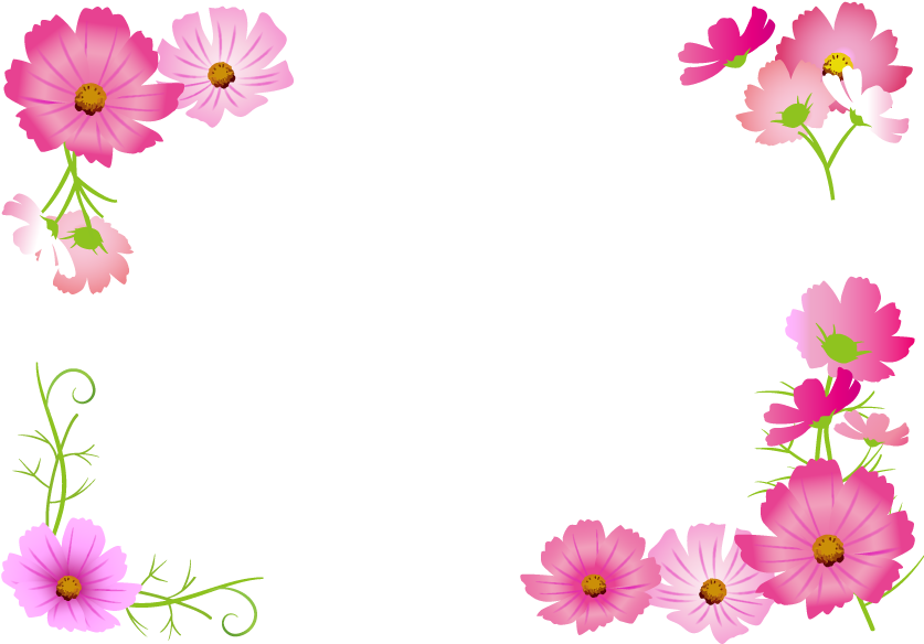 コスモスの花フレーム - 秋 の 花 イラスト フレーム (842x595)