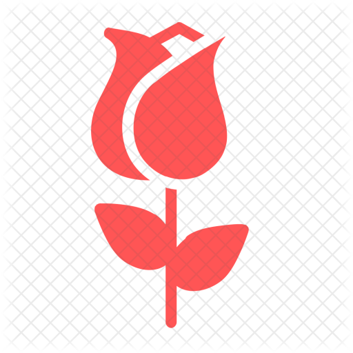 Love, Romantic, Valentine, Day, Rose, Lotus, Flower - Love (512x512)