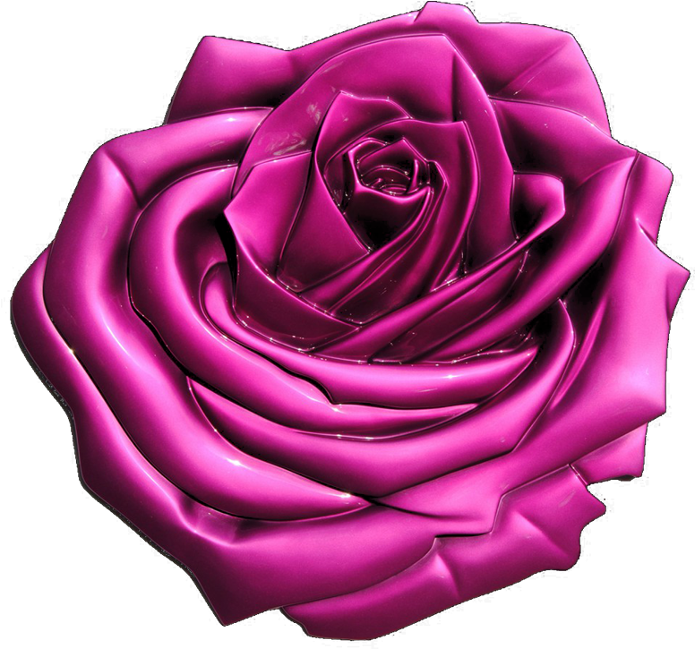 Rose - Garden Roses (1065x1024)
