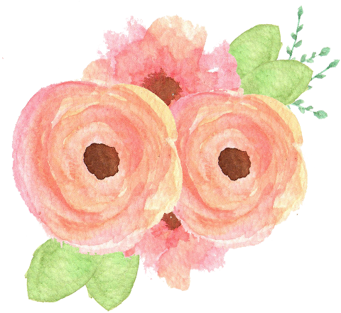 I Am Way Impressed And Can't Wait To Share Your Cards - Peach Flowers Png (768x542)