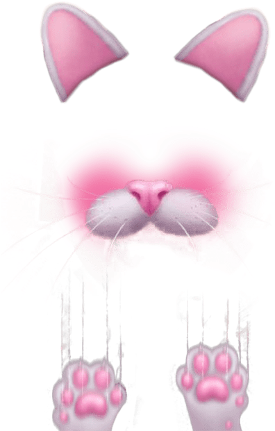 Cute Snapchat Filters Png (422x666)