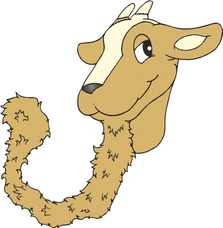 Kiko Goat Goats Clip Art - Clip Art (800x800)