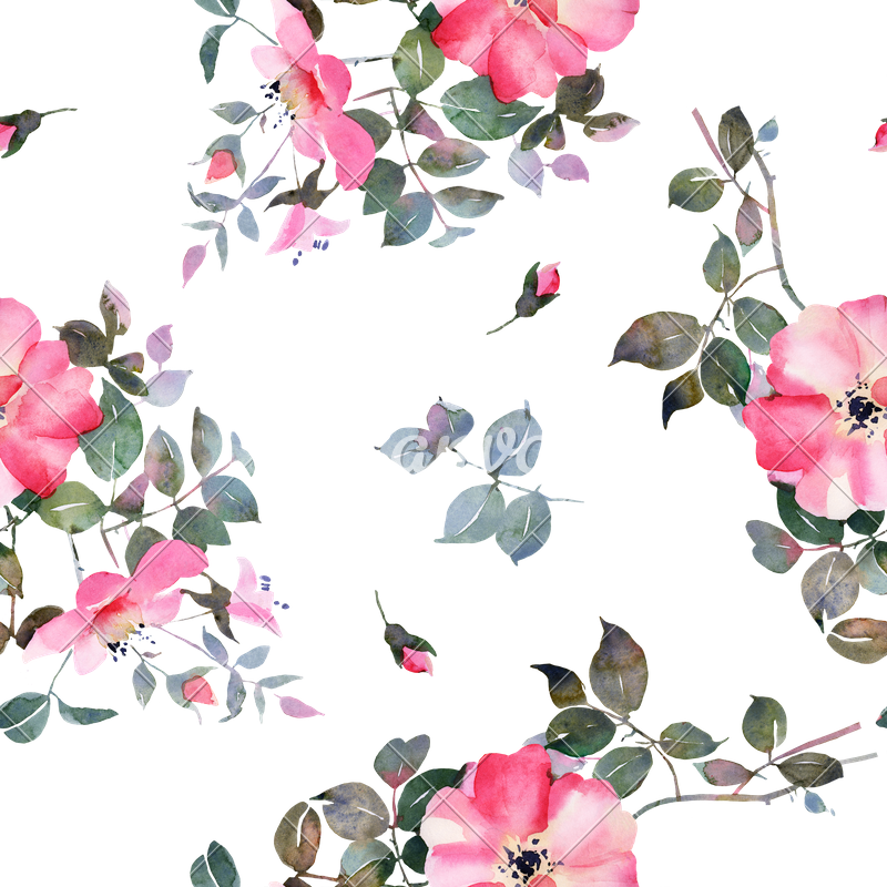 Rose Watercolor Flower Seamless Pattern - Church Jesus Cristo - The True Oliveira (800x800)