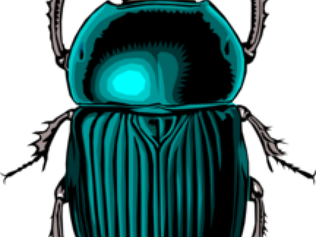 Dung Beetle Clipart Free Clipart On Dumielauxepices - Scarab Beetle (640x480)