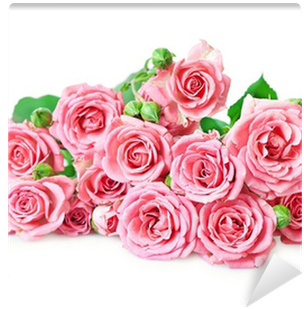Pink Roses On A White Background Wall Mural • Pixers® - Rose (400x400)