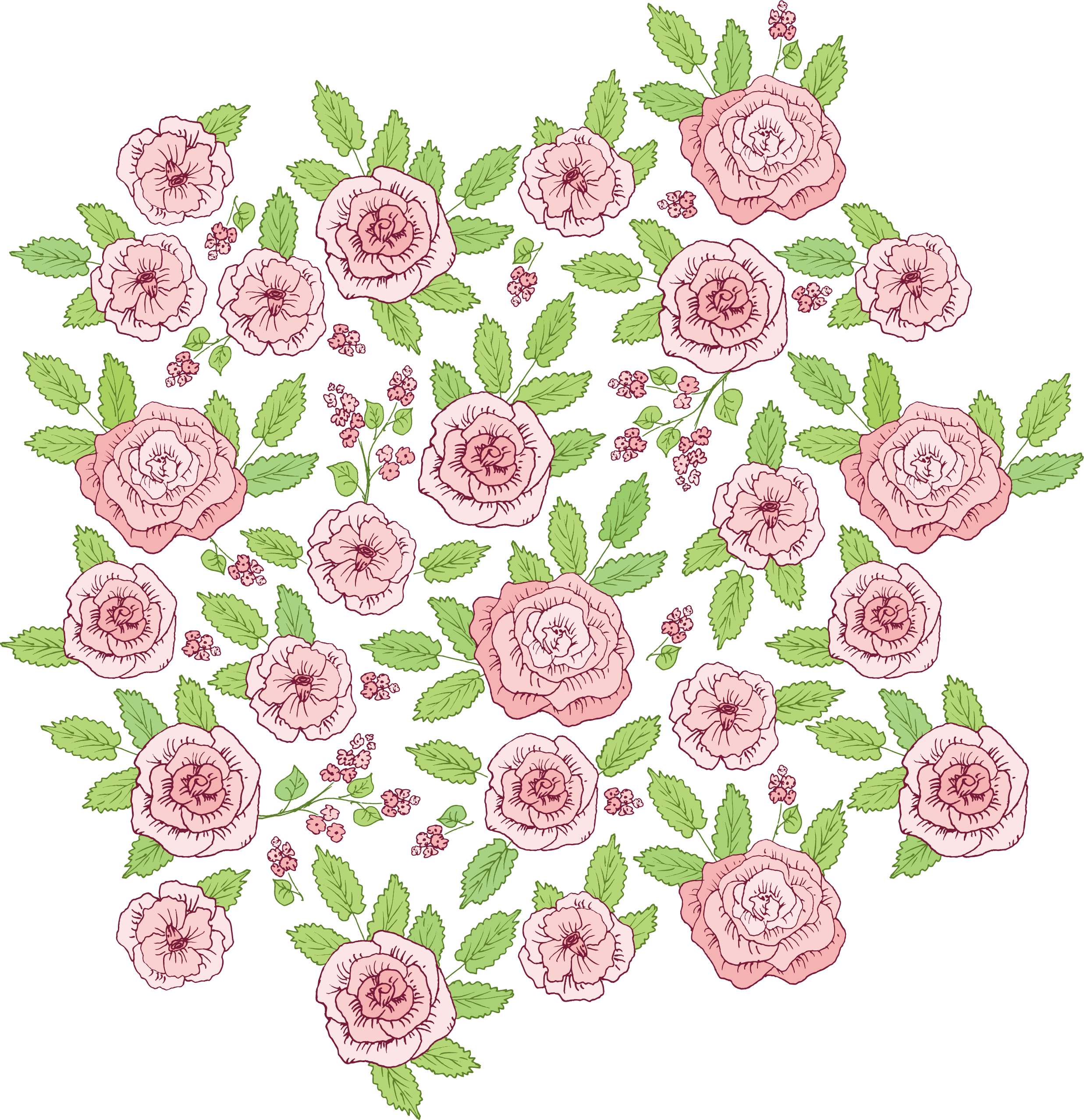 Pink Roses Beach Rose - Rose (2473x2556)