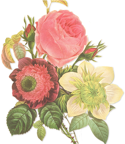 Help Make Your Wedding Day A Beautiful One We Also - Vintage Tea Party Png (445x502)