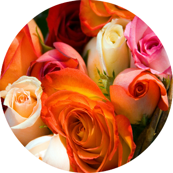 Every Girl Dreams Of Her Perfect Wedding Day Since - Every Girl Dreams Of Her Perfect Wedding Day Since (350x350)