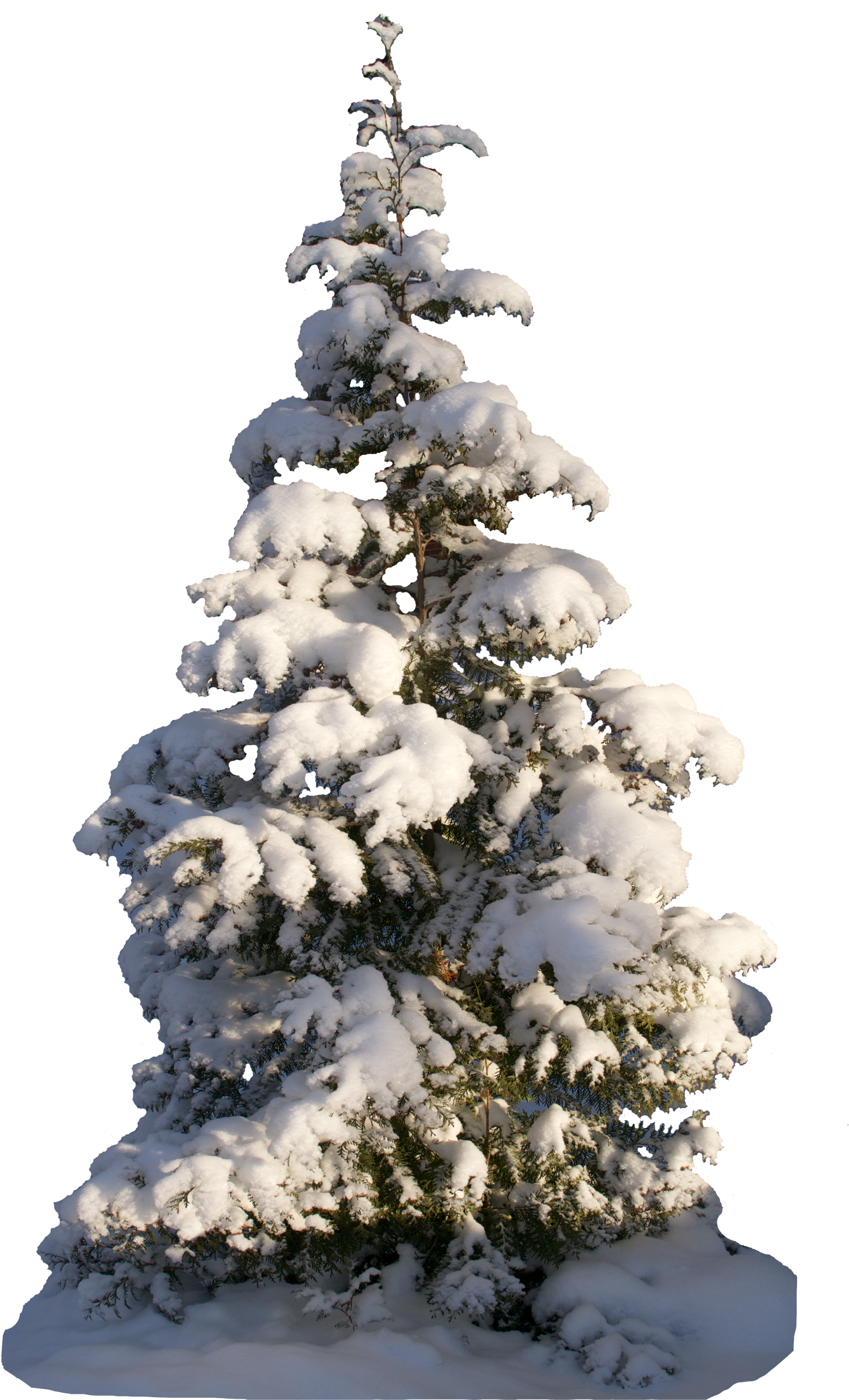 Christmas Tree Psd - Christmas Tree (2108x3000)