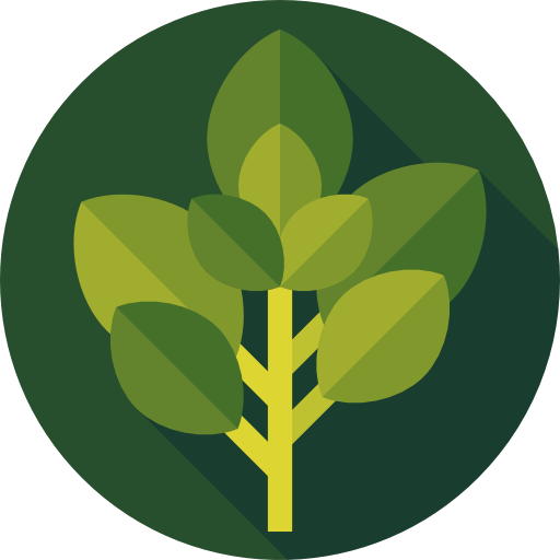 Basil Free Icon - Herb (512x512)