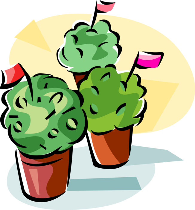 Vector Illustration Of Manjerico Decorated Pot Of Basil - Manjerico Clipart (652x700)