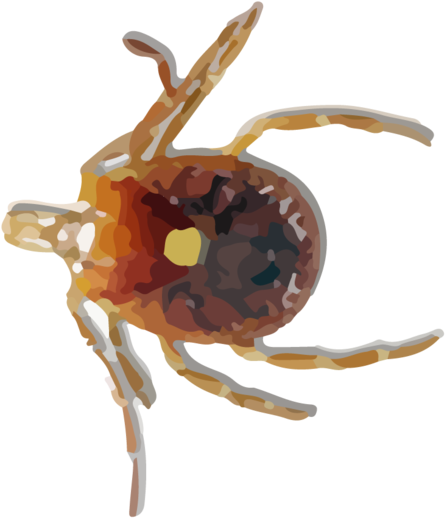 Tick Psd Png - Hgrmt Azkkvi Mosquito Medicated Relief Gel Wipe Away (750x668)