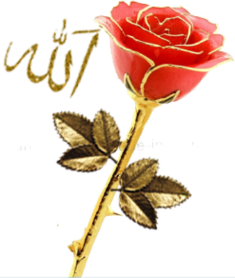 Allah With Golden Rose Psd - Rose With Allah (338x400)