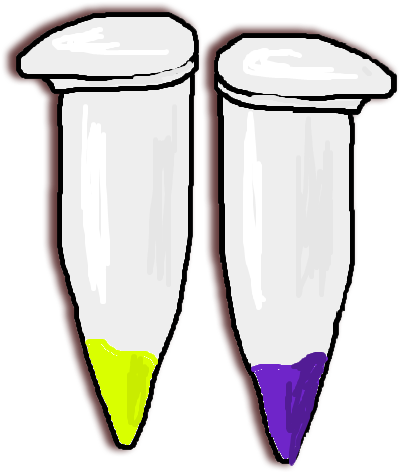 It's Easy To Check, Biobrick Compatible, E - It's Easy To Check, Biobrick Compatible, E (411x485)
