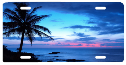 Beach Blue Sunset - Palm Tree 4k (500x300)