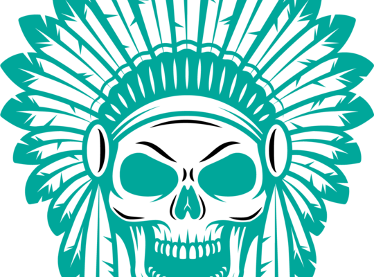 Skullhead Collection - Indian Chief Skull (540x400)