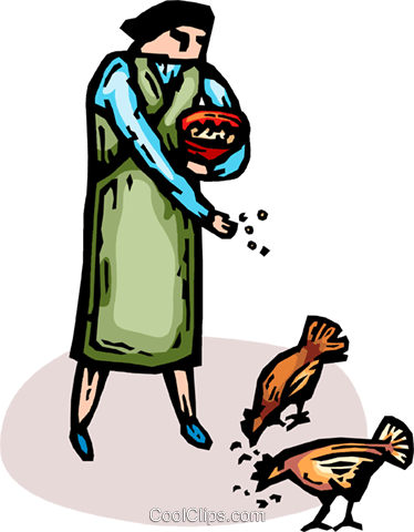Woman Feeding The Chickens Royalty Free Vector Clip - Chicken (374x480)