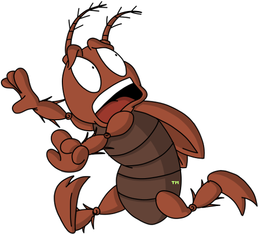 "natural Flea Control Out Kills Toxic Chemicals - Tropics (600x480)