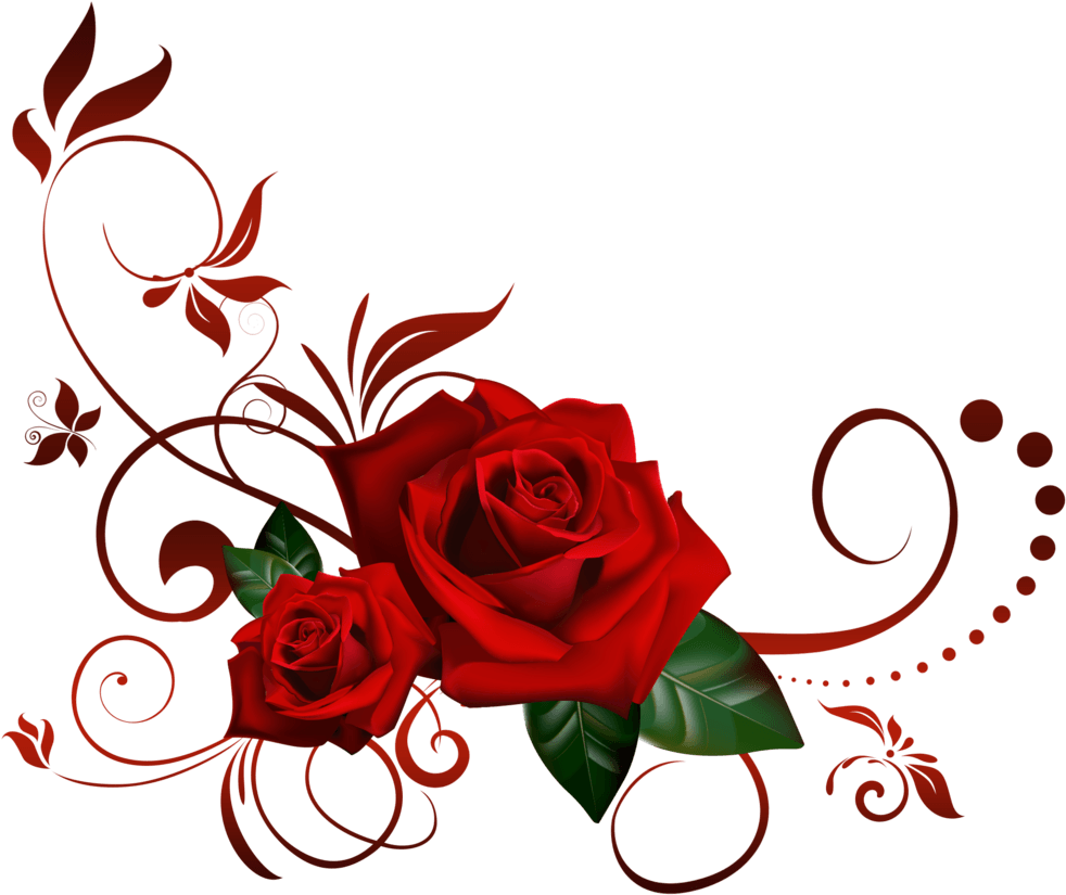 Rose - Rose Png (1024x870)