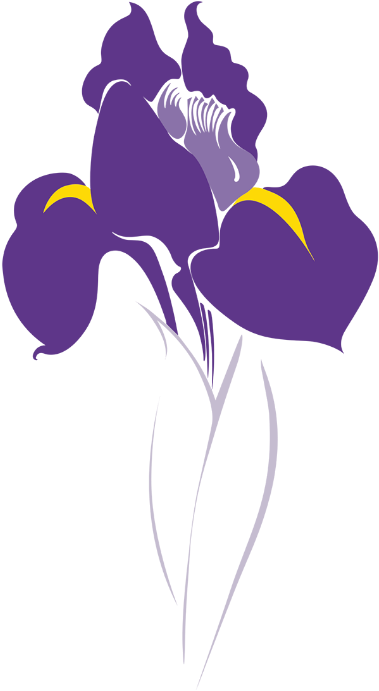 The Iris Went Through A Handful Of Iterations Before - Shopee (400x721)