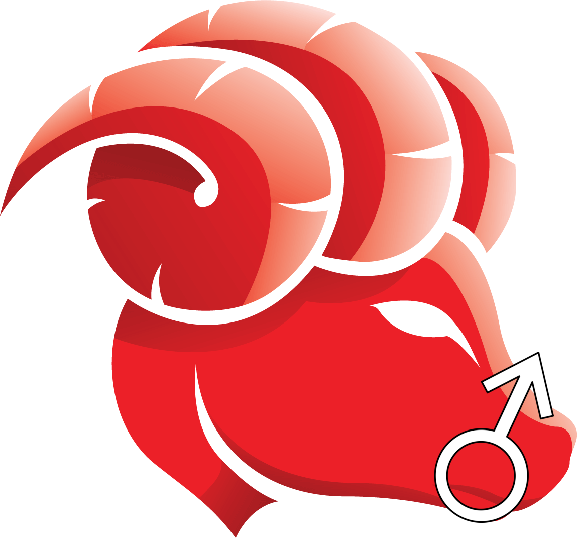 Aries Png - Capricorn T-shirt Custom (1149x1071)