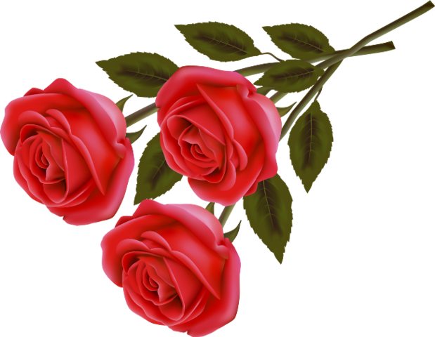 Png Gül Resimleri, Harika Png Gül Resimleri, Süper - Red Rose Love Images Download (619x480)