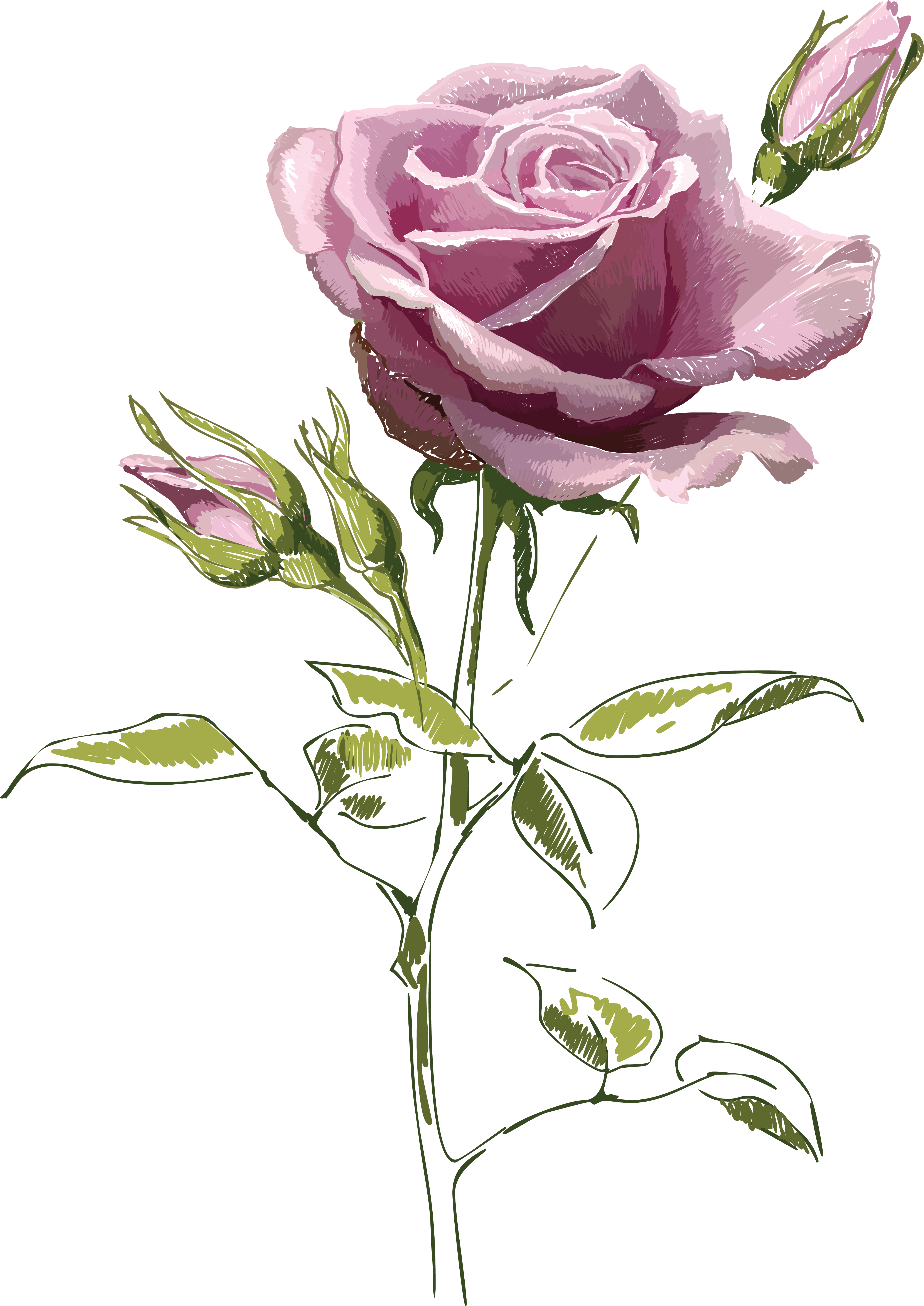 Gül Resimleri Indir,bouquet Of Red Roses And White - Vintage Roses Vector (4244x5999)